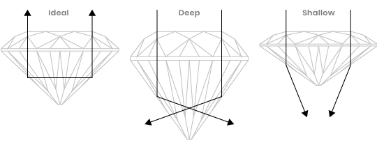 Jeweler Anatomy Jeweler Anatomy